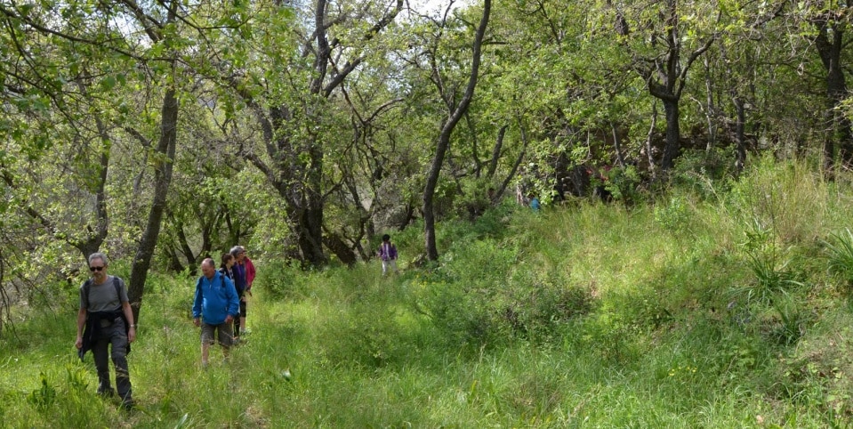 hiking