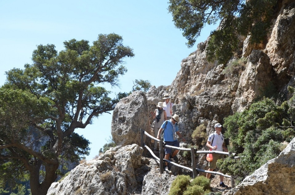 Mountain Trek